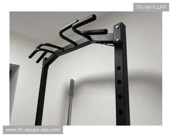 预算三千元内高性价比健身器材组合方案推荐