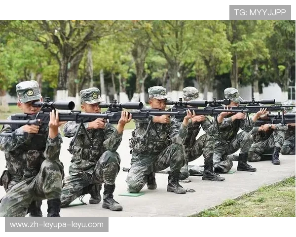 高强度部队体能训练器材选购指南与实战测评